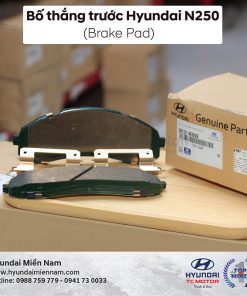 Bố Thắng Trước N250 & N250sl