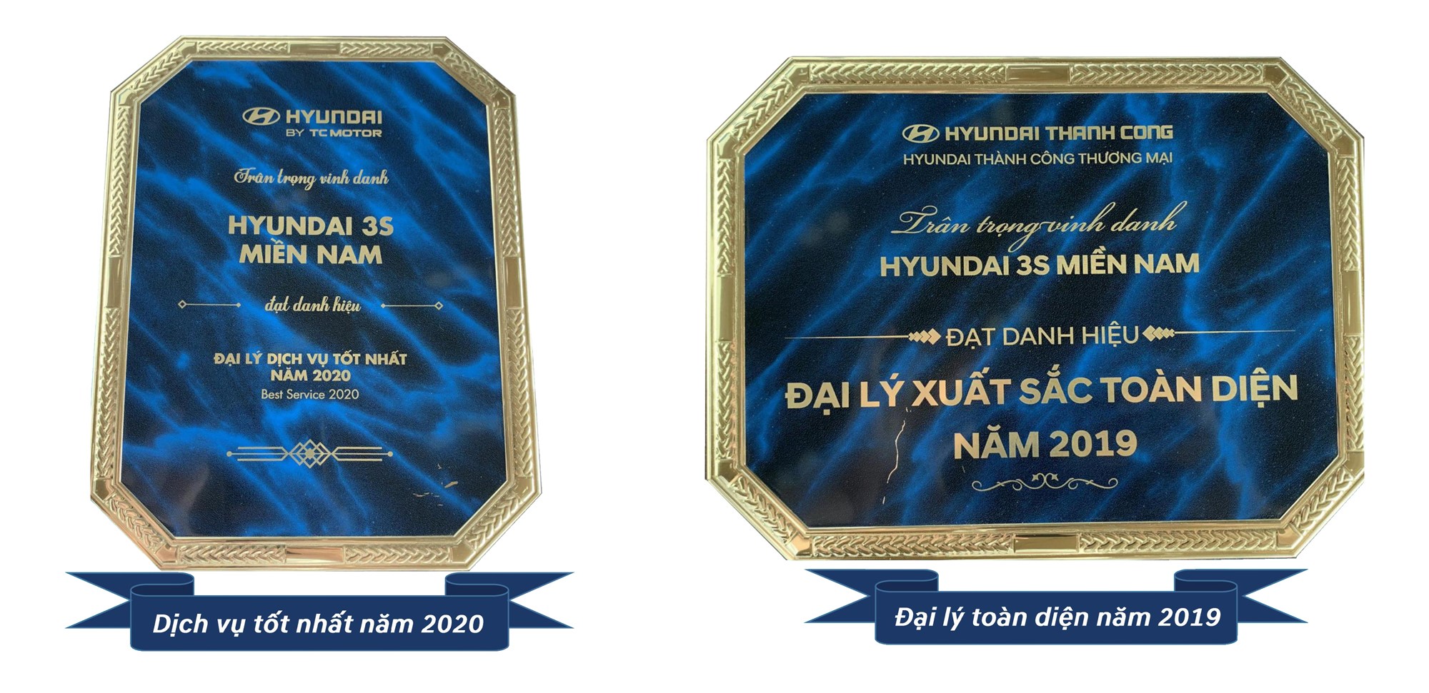 Các Giải Thưởng Vinh Dự đạt được (1)