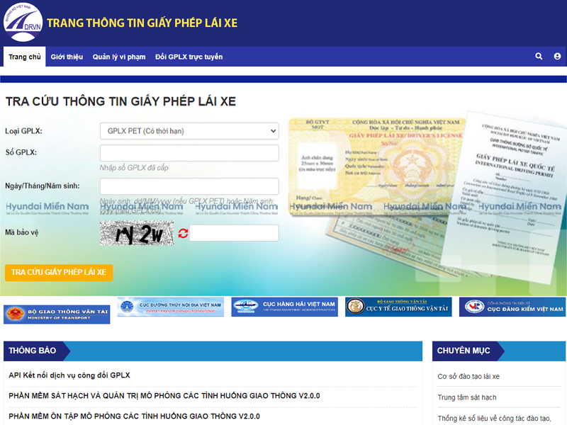 Giấy Phép Lái Xe (1)