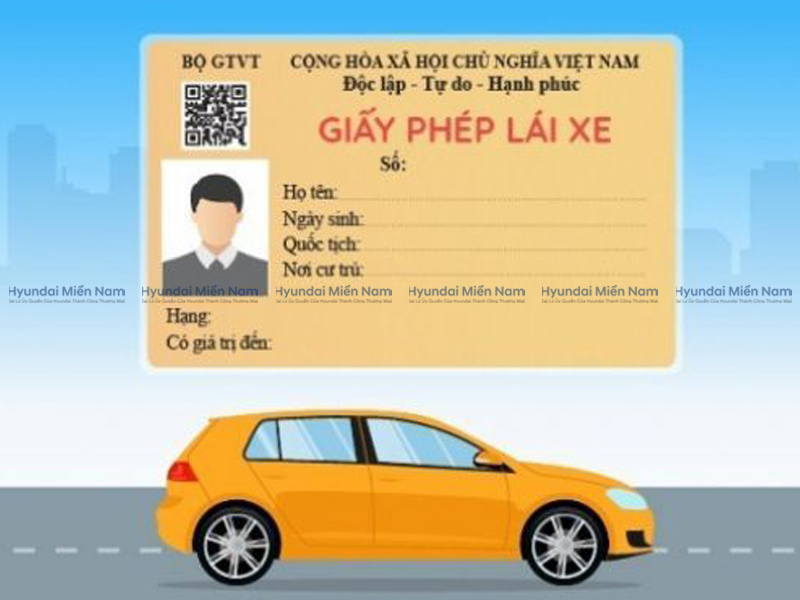 Giấy Phép Lái Xe (3)