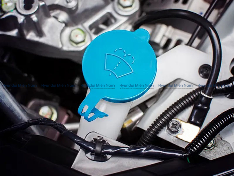 Nước Rửa Kính ô Tô (3)