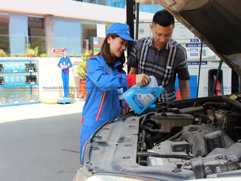 Nước Rửa Kính ô Tô (5)