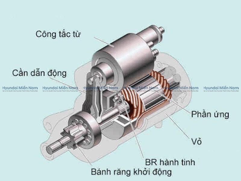 Củ đề động Cơ (3)