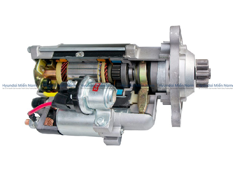 Củ đề động Cơ (5)