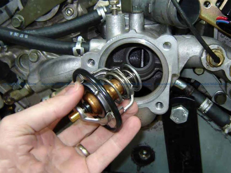 Van Hằng Nhiệt (2)