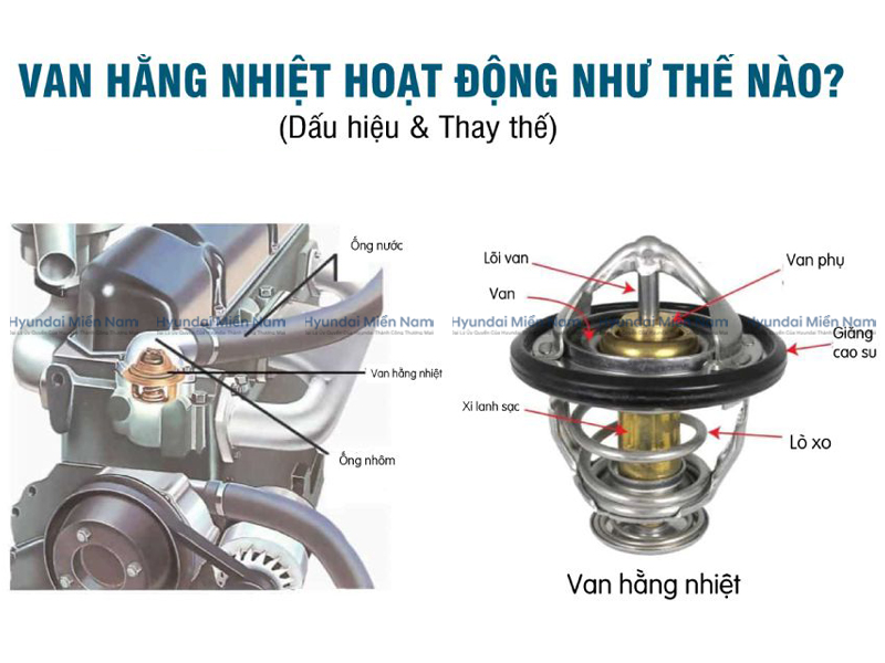 Van Hằng Nhiệt (3)