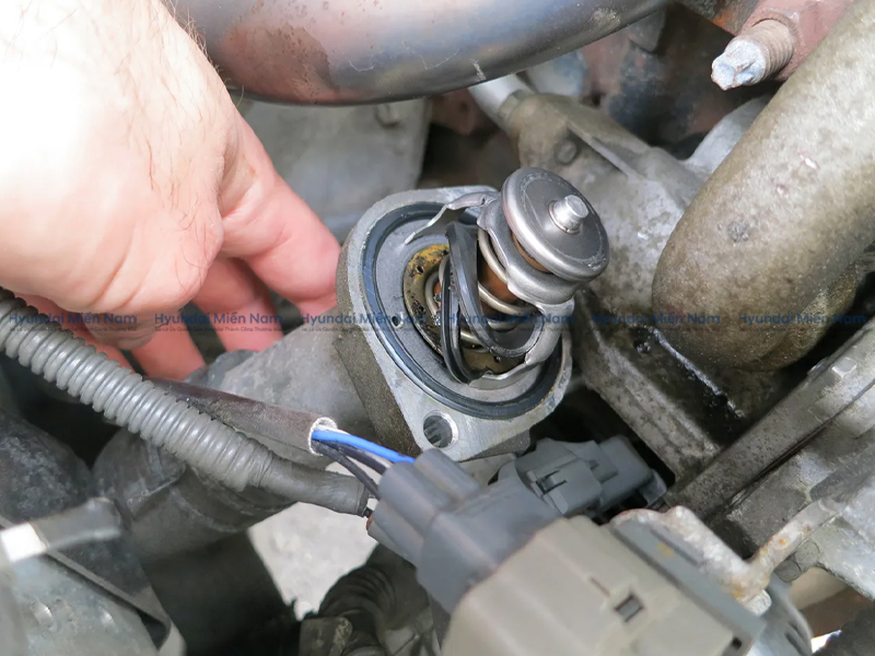 Van Hằng Nhiệt (5)